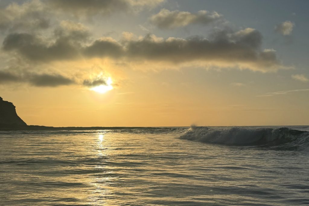 OUR BACKYARD - AIREYS INLET