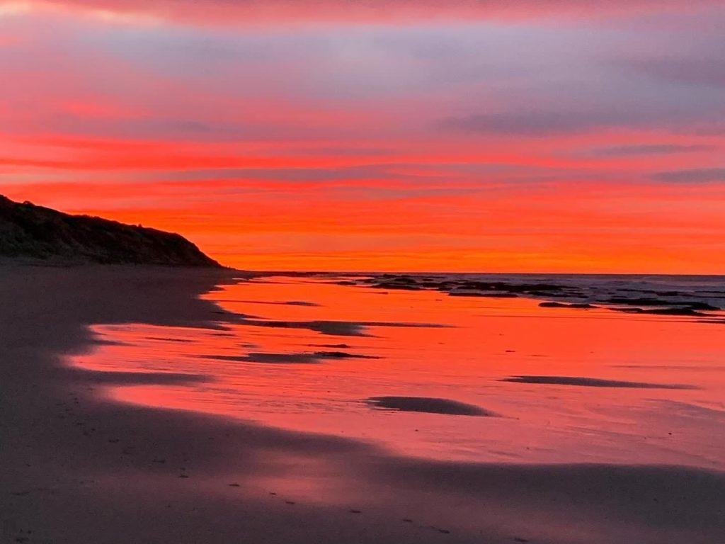 OUR BACKYARD - ANGLESEA