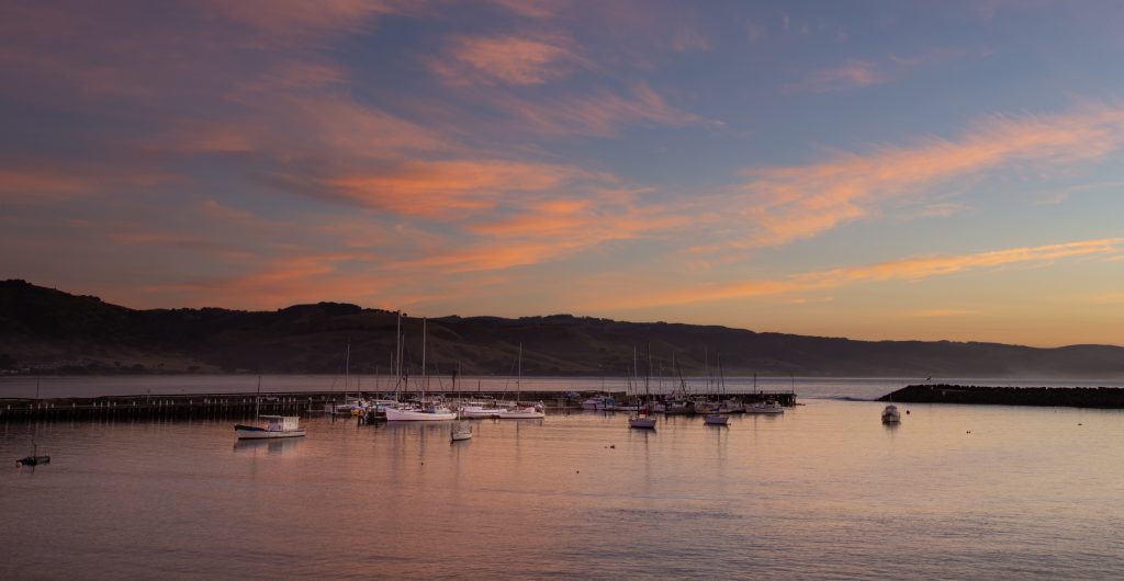 OUR BACKYARD- APOLLO BAY