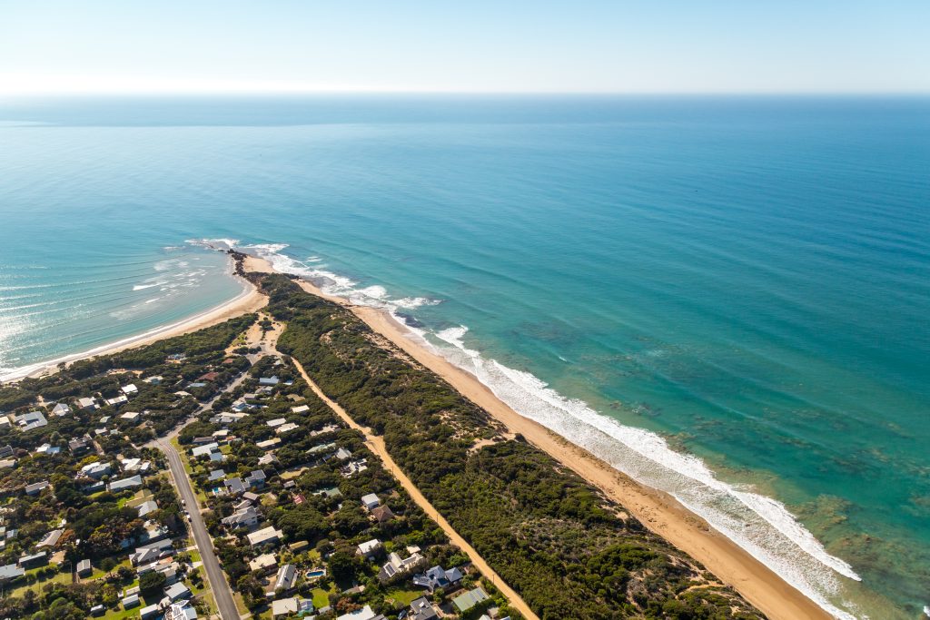 OUR BACKYARD - ANGLESEA