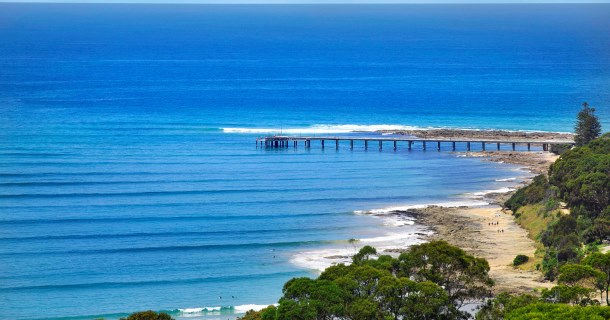 OUR BACKYARD - LORNE